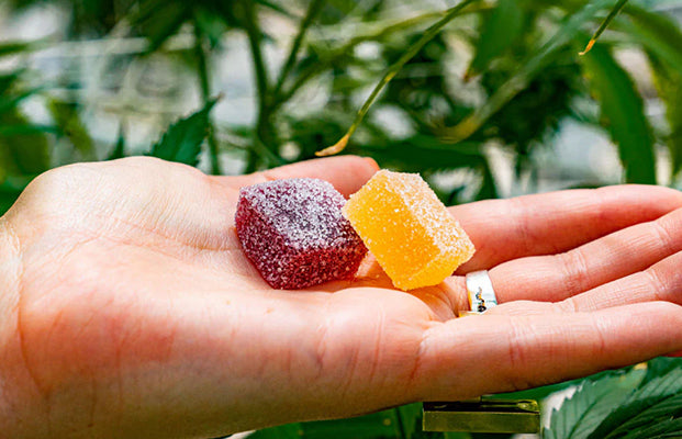 CBN Gummies